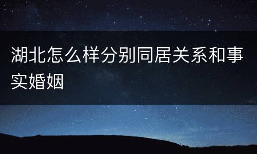 湖北怎么样分别同居关系和事实婚姻