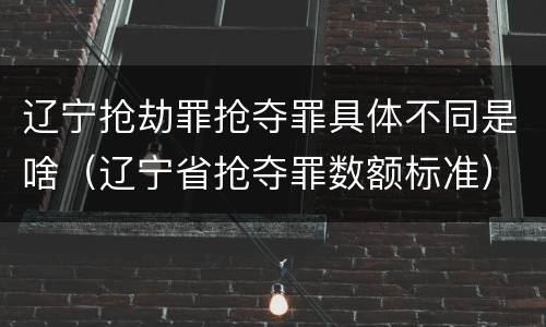 辽宁抢劫罪抢夺罪具体不同是啥（辽宁省抢夺罪数额标准）