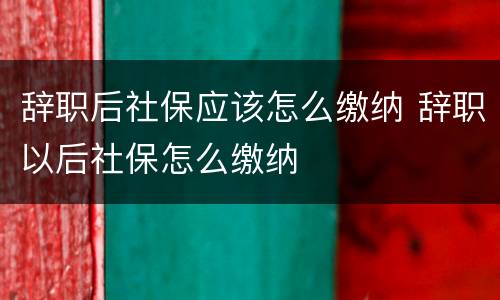 辞职后社保应该怎么缴纳 辞职以后社保怎么缴纳