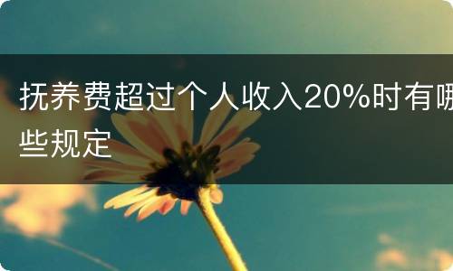 抚养费超过个人收入20%时有哪些规定