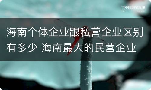 海南个体企业跟私营企业区别有多少 海南最大的民营企业