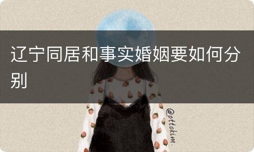 辽宁同居和事实婚姻要如何分别