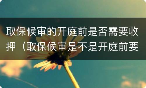 取保候审的开庭前是否需要收押（取保候审是不是开庭前要收押）