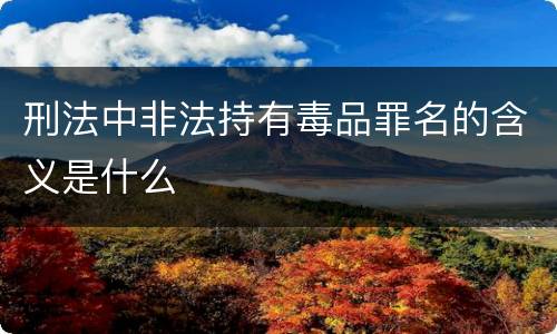 刑法中非法持有毒品罪名的含义是什么