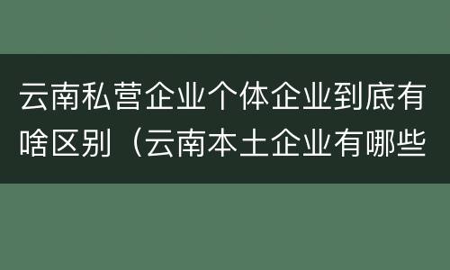 云南私营企业个体企业到底有啥区别（云南本土企业有哪些）