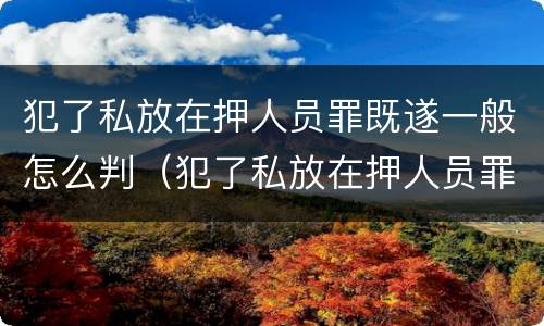 犯了私放在押人员罪既遂一般怎么判（犯了私放在押人员罪既遂一般怎么判定）