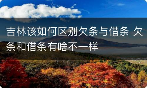 吉林该如何区别欠条与借条 欠条和借条有啥不一样