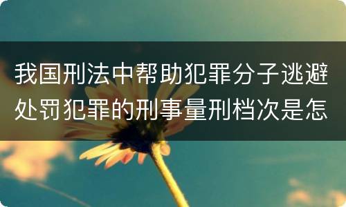 我国刑法中帮助犯罪分子逃避处罚犯罪的刑事量刑档次是怎样的