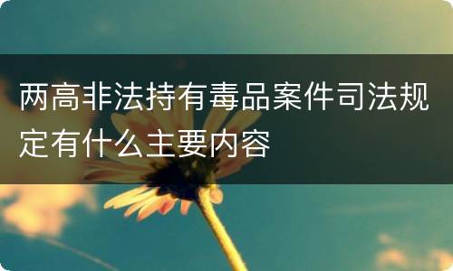 两高非法持有毒品案件司法规定有什么主要内容
