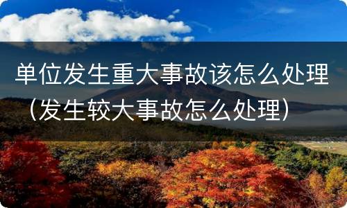 单位发生重大事故该怎么处理（发生较大事故怎么处理）