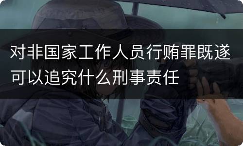 对非国家工作人员行贿罪既遂可以追究什么刑事责任