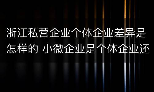 浙江私营企业个体企业差异是怎样的 小微企业是个体企业还是私营企业