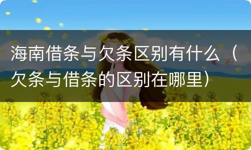 海南借条与欠条区别有什么（欠条与借条的区别在哪里）