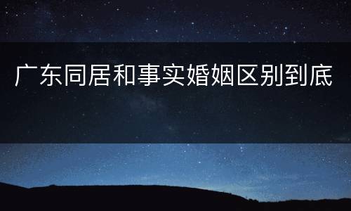 广东同居和事实婚姻区别到底