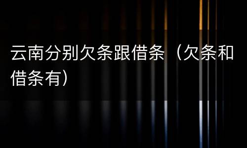 云南分别欠条跟借条（欠条和借条有）