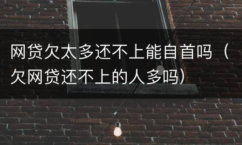网贷欠太多还不上能自首吗（欠网贷还不上的人多吗）