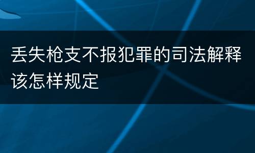 丢失枪支不报犯罪的司法解释该怎样规定