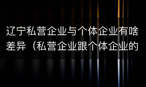 辽宁私营企业与个体企业有啥差异（私营企业跟个体企业的区别）