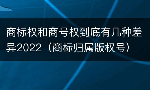 商标权和商号权到底有几种差异2022（商标归属版权号）
