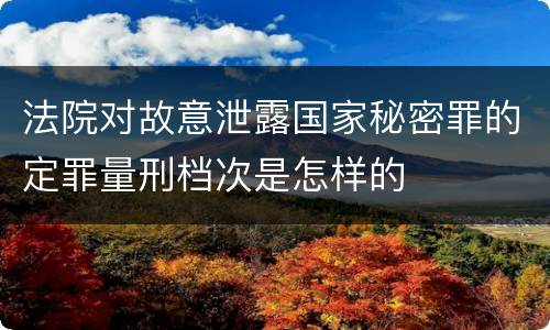 法院对故意泄露国家秘密罪的定罪量刑档次是怎样的