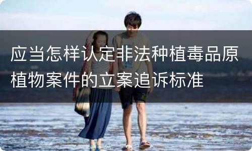 应当怎样认定非法种植毒品原植物案件的立案追诉标准