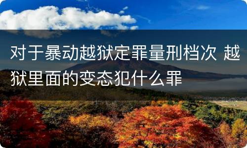 对于暴动越狱定罪量刑档次 越狱里面的变态犯什么罪