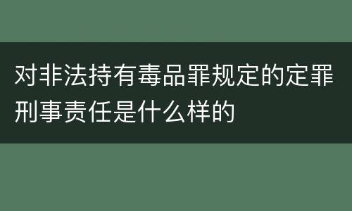 对非法持有毒品罪规定的定罪刑事责任是什么样的