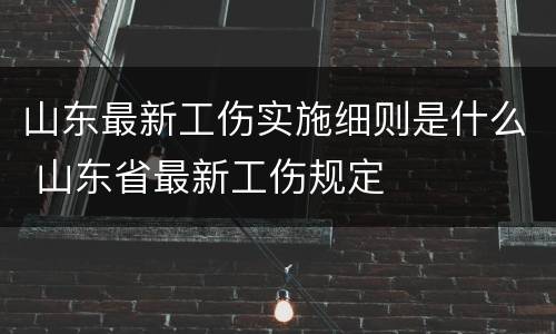 山东最新工伤实施细则是什么 山东省最新工伤规定