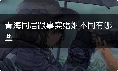 青海同居跟事实婚姻不同有哪些