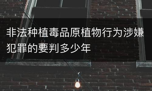 非法种植毒品原植物行为涉嫌犯罪的要判多少年