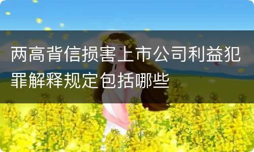 两高背信损害上市公司利益犯罪解释规定包括哪些