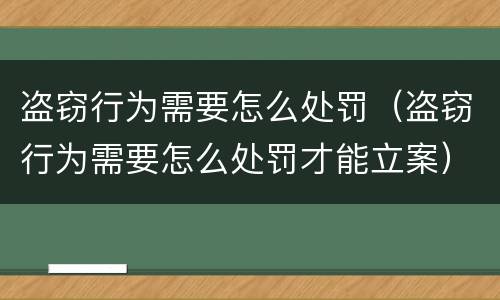 盗窃行为需要怎么处罚（盗窃行为需要怎么处罚才能立案）