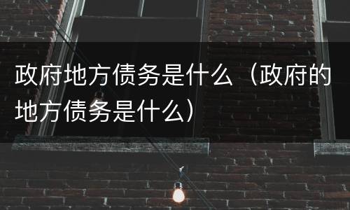 政府地方债务是什么（政府的地方债务是什么）