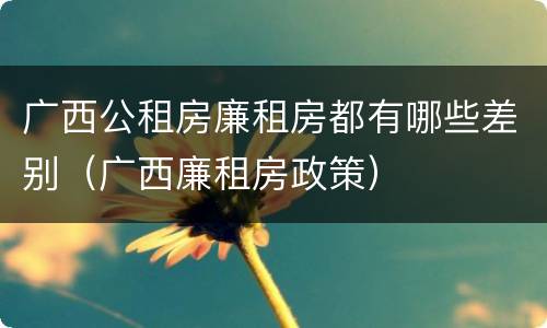 广西公租房廉租房都有哪些差别（广西廉租房政策）