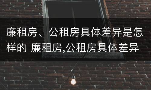廉租房、公租房具体差异是怎样的 廉租房,公租房具体差异是怎样的现象