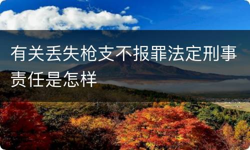 有关丢失枪支不报罪法定刑事责任是怎样