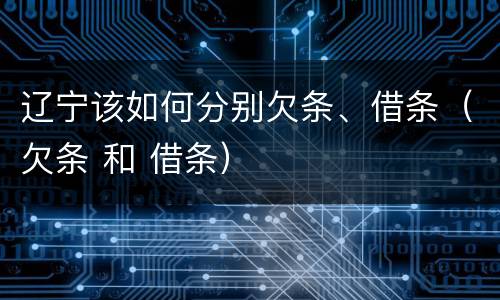 辽宁该如何分别欠条、借条（欠条 和 借条）