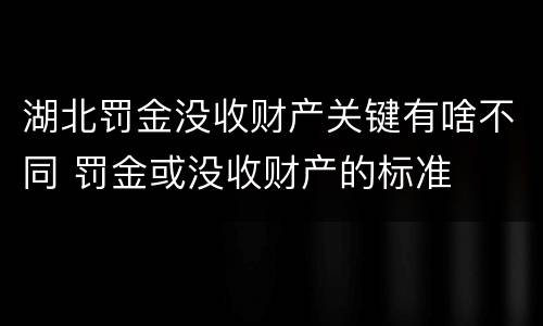 湖北罚金没收财产关键有啥不同 罚金或没收财产的标准