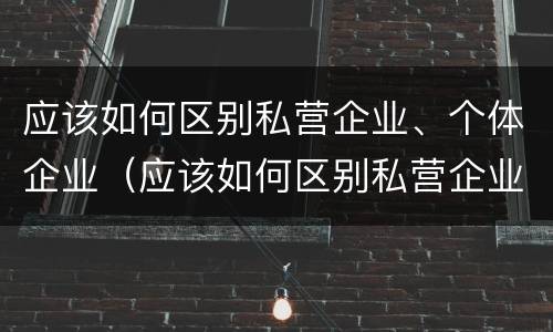 应该如何区别私营企业、个体企业（应该如何区别私营企业,个体企业和企业）