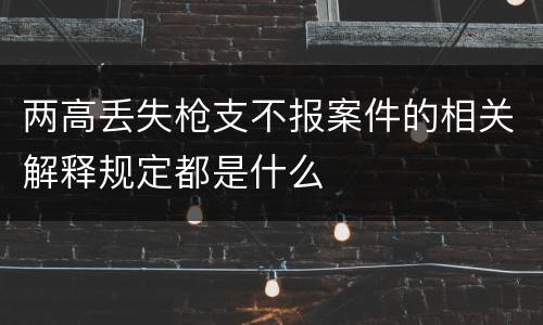 两高丢失枪支不报案件的相关解释规定都是什么