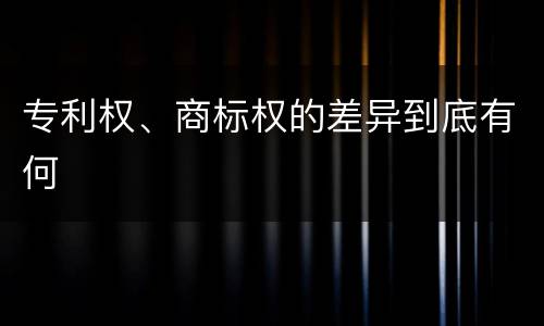 专利权、商标权的差异到底有何