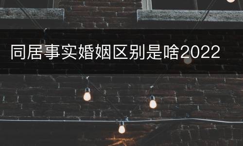 同居事实婚姻区别是啥2022