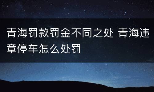 青海罚款罚金不同之处 青海违章停车怎么处罚