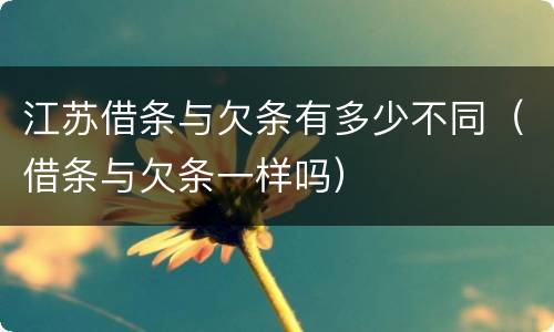江苏借条与欠条有多少不同（借条与欠条一样吗）