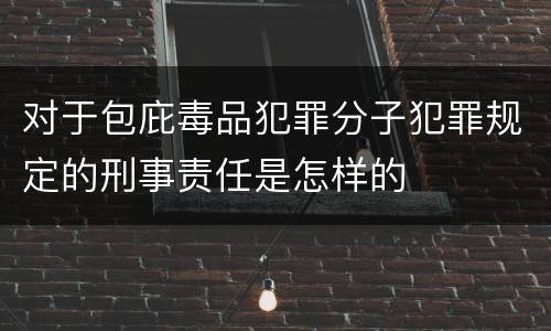 对于包庇毒品犯罪分子犯罪规定的刑事责任是怎样的
