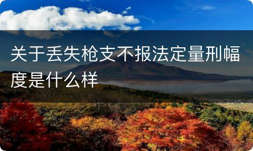关于丢失枪支不报法定量刑幅度是什么样