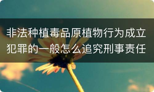 非法种植毒品原植物行为成立犯罪的一般怎么追究刑事责任