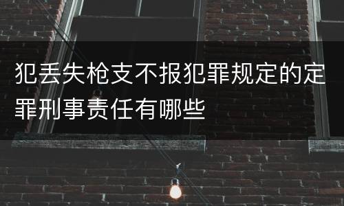 犯丢失枪支不报犯罪规定的定罪刑事责任有哪些