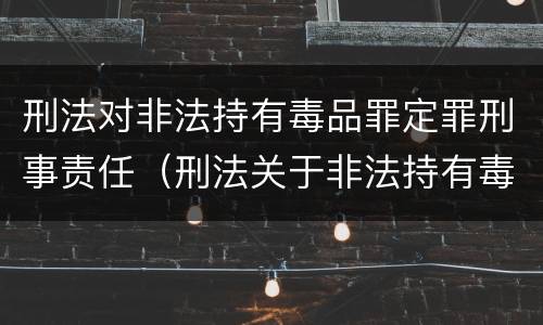 刑法对非法持有毒品罪定罪刑事责任（刑法关于非法持有毒品罪的规定）