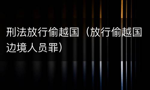 刑法放行偷越国（放行偷越国边境人员罪）